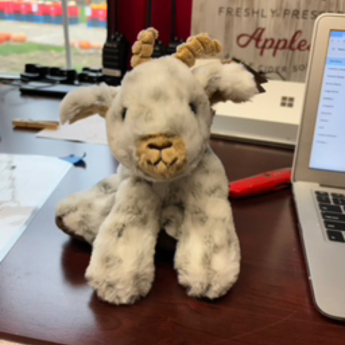 Small Plush Goat