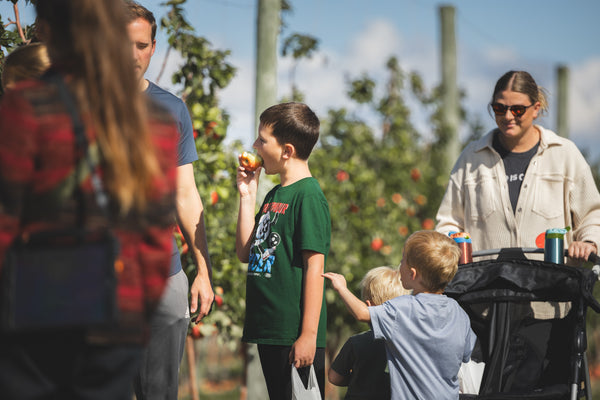 Apple Picking