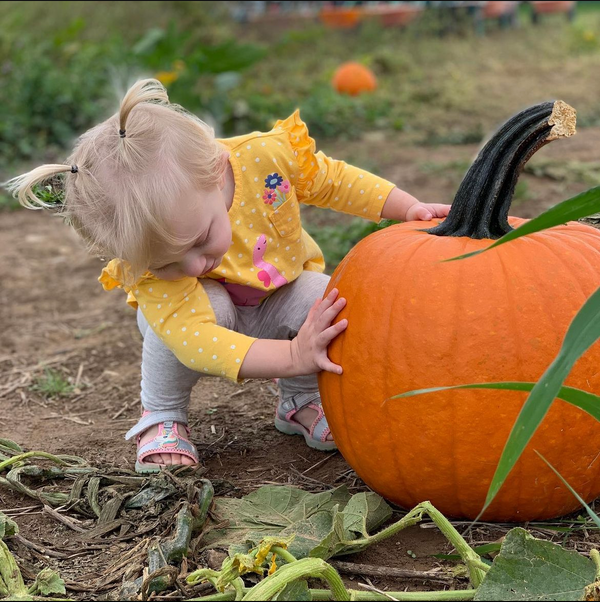 Pumpkin Picking
